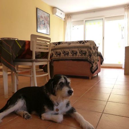 Apartamento Pescadors Les Cases d'Alcanar Kültér fotó